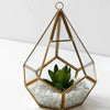 D'ECO GLASS GEOMETRIC PLANT TERRARIUM