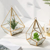 D'ECO GLASS GEOMETRIC PLANT TERRARIUM